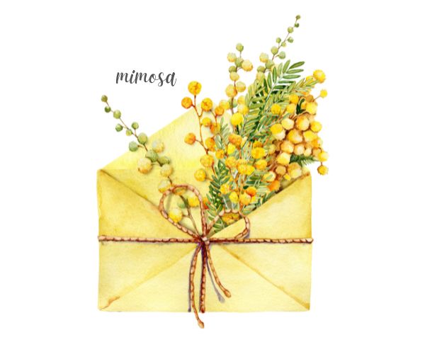 ミモザ贈り物
